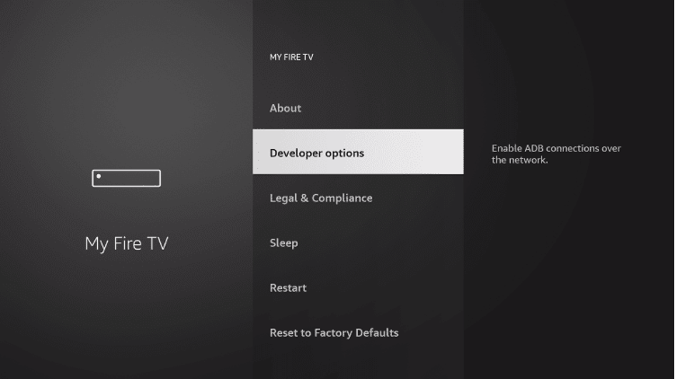 Developer options screen